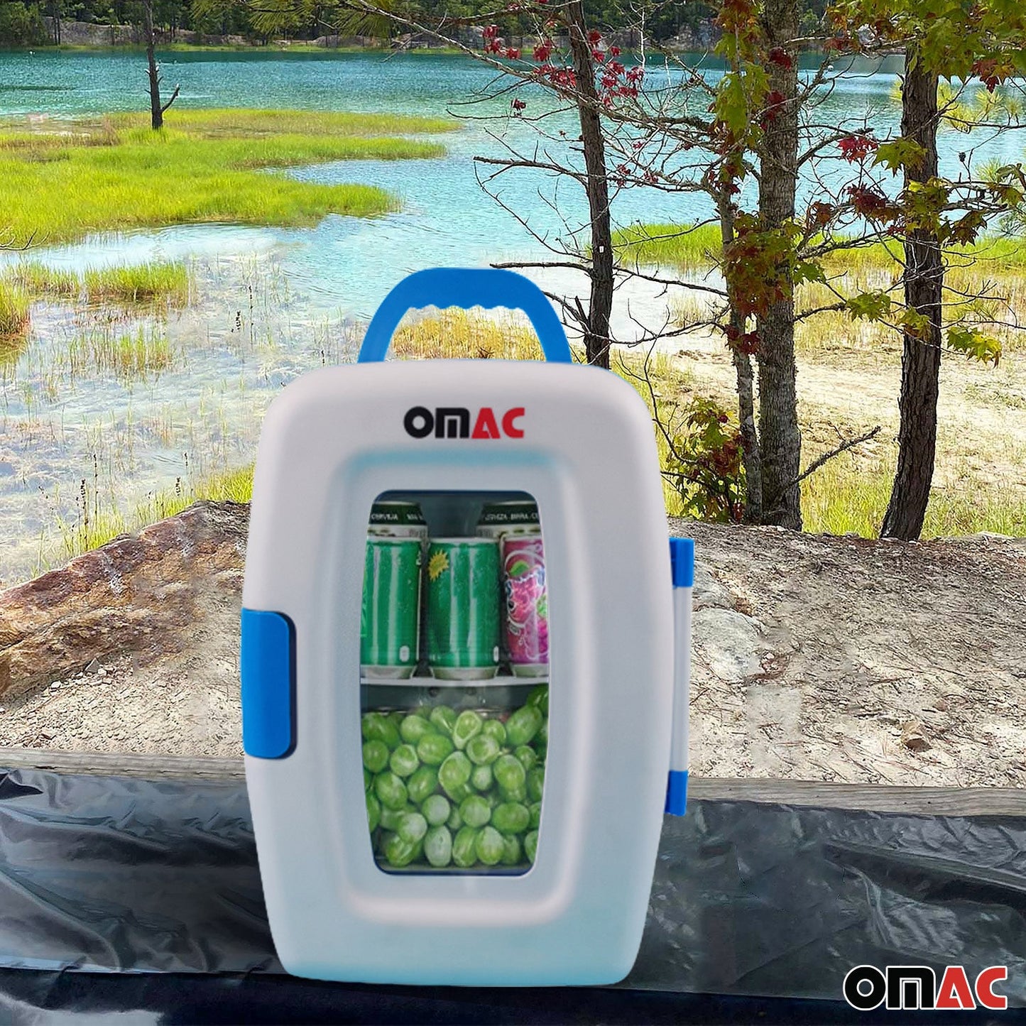 10L Portable Cooler and Warmer Car Refrigerator Outdoor 12V Mini Camping Fridge
