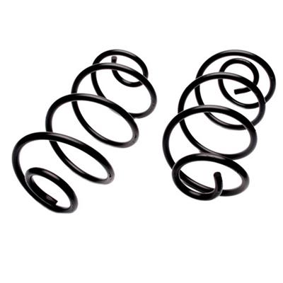 REAR SPRINGS
