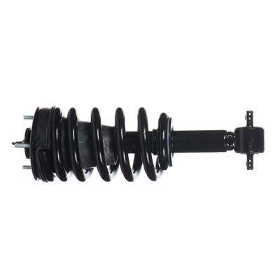 MAGNUM SEVERE SERVICE STRUT