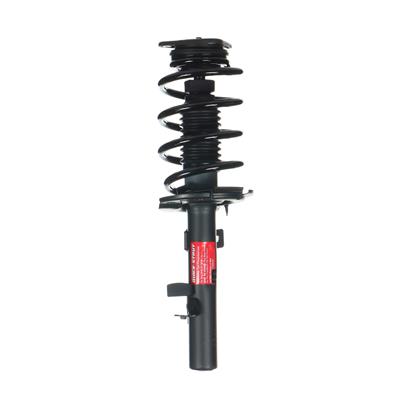 QUICK-STRUT ASSY