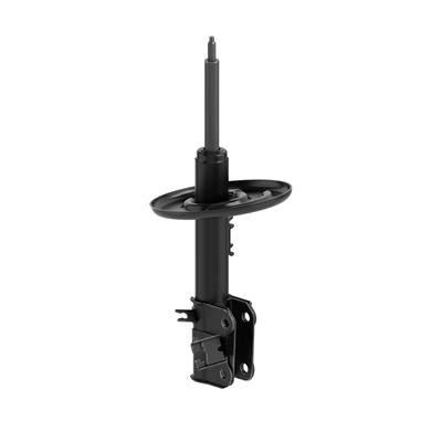 OESPECTRUM STRUT