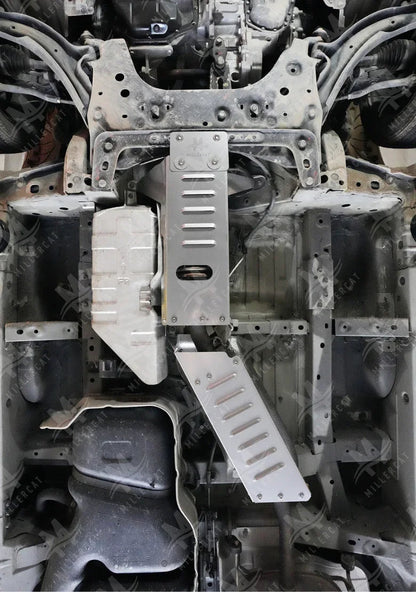 Chevrolet City Express 2014-2018 Cat Shield