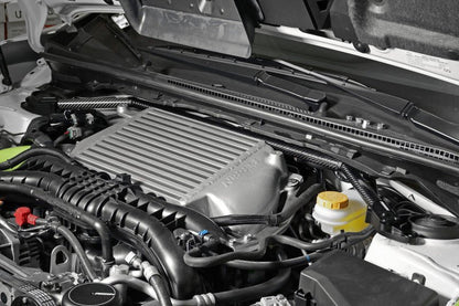 Perrin Performance Carbon Fiber Strut Brace w/Billet Feet [Universal]