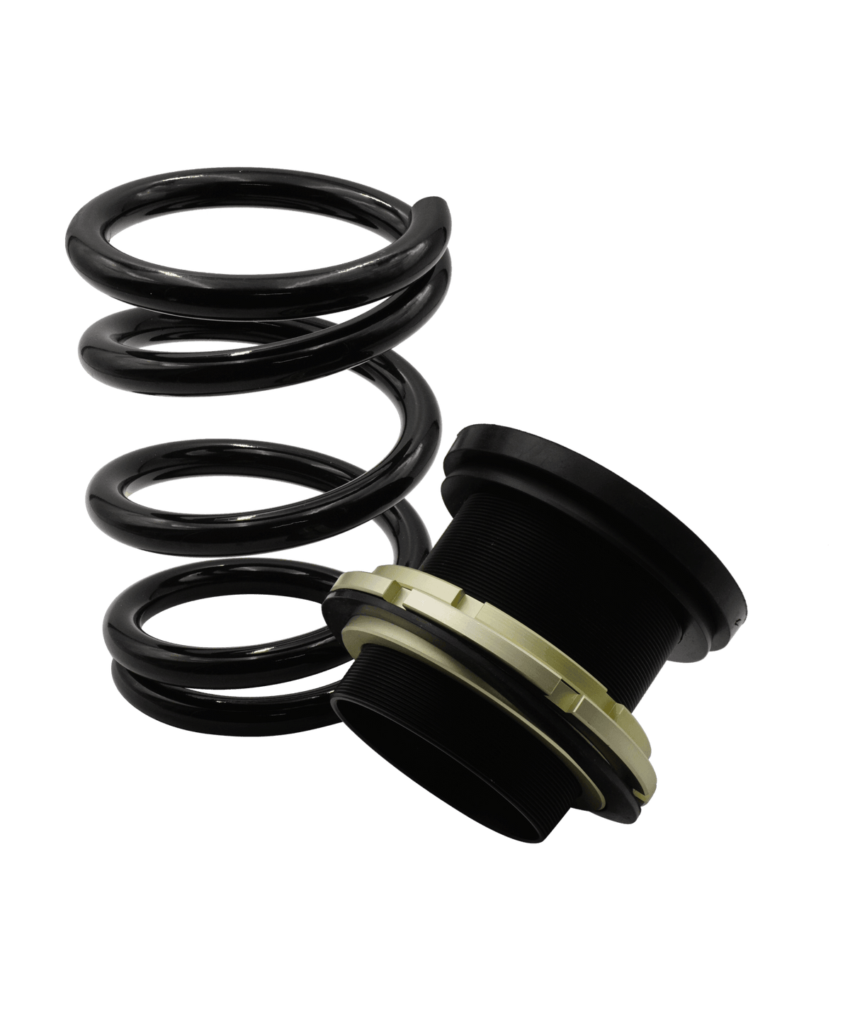 BLOX Racing Plus Series Pro Coilovers - 17-25 Model 3 RWD