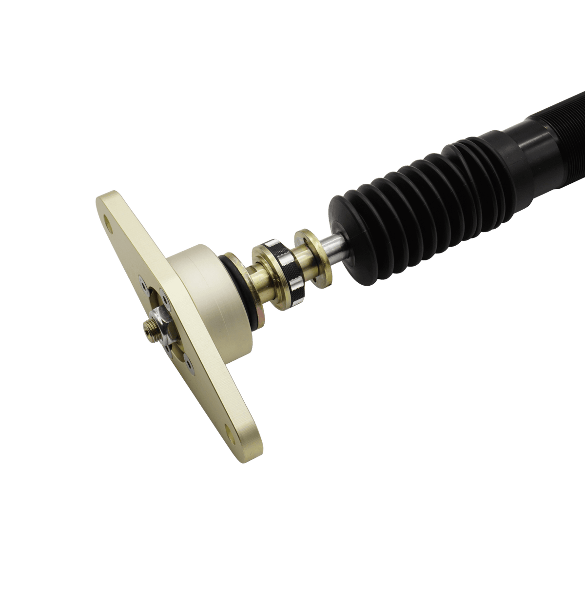 BLOX Racing Plus Series Pro Coilovers - 2020-2025 Model Y