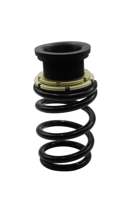 BLOX Racing Plus Series Pro Coilovers - 2020-2025 Model Y