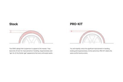 Eibach Pro-Kit for 11-23 Dodge Charger (v6/v8, Non SRT)