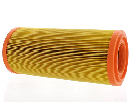Roxor Air Filter Element 2018-Current
