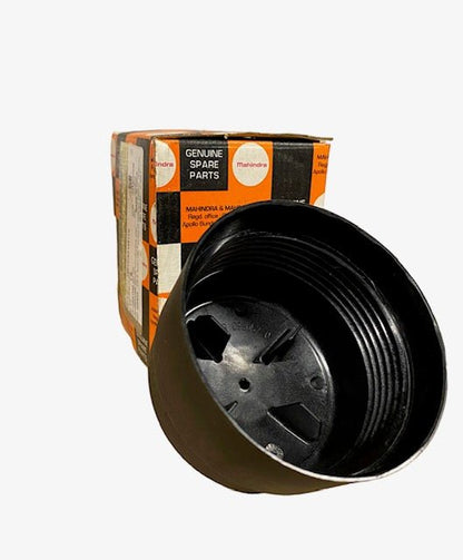 Roxor OEM Fuel filter element kit 2018-2022