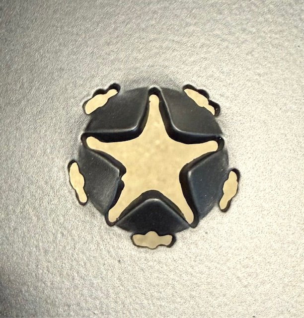 Roxor Side Steps, USA 5 Star Grips