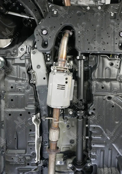 Lexus RX 350 2016-2022 Cat Shield
