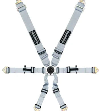 Schroth Flexi 2x2 6 Point Racing Harness