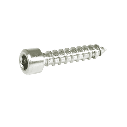 ZSPEC M6x30mm Coarse Socket-Cap SHSC Fasteners, Stainless, 10-Pack
