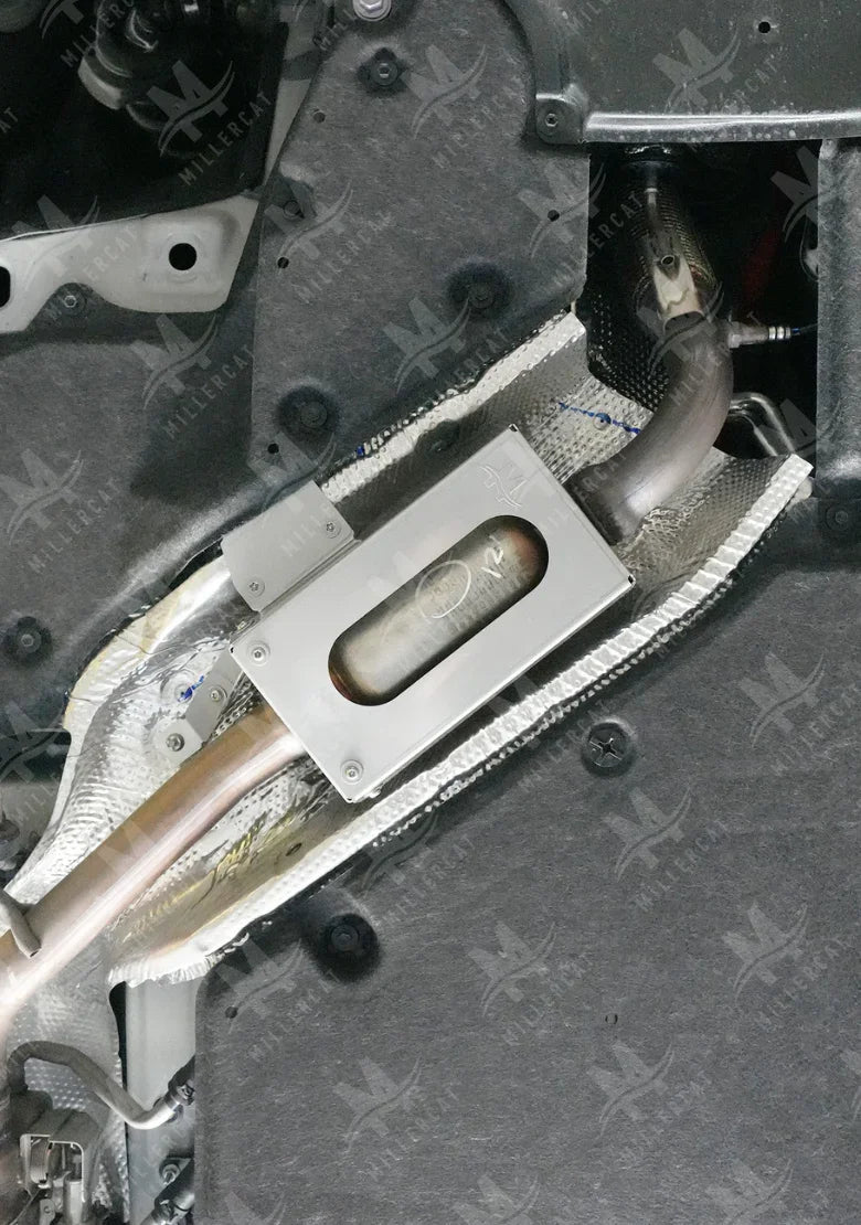 Toyota Sienna Hybrid 2021-2026 Cat Shield