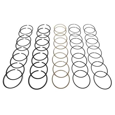 PREMIUM PISTON RING SET