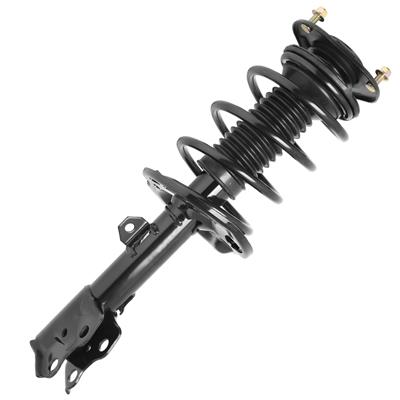 SHOCKS & STRUTS