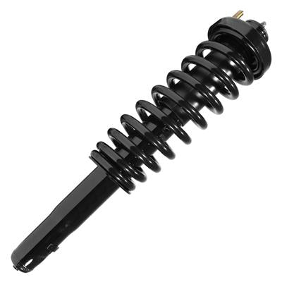 SHOCKS & STRUTS