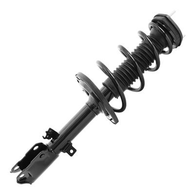SHOCKS & STRUTS