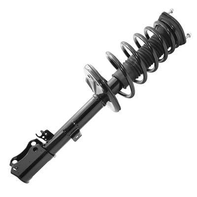 SHOCKS & STRUTS