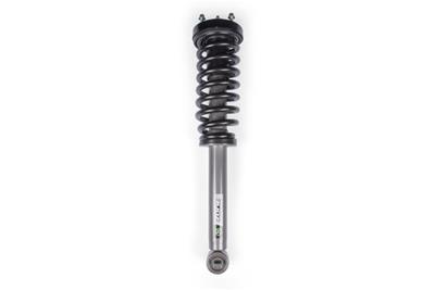 LOADED STRUT ASSEMBLY
